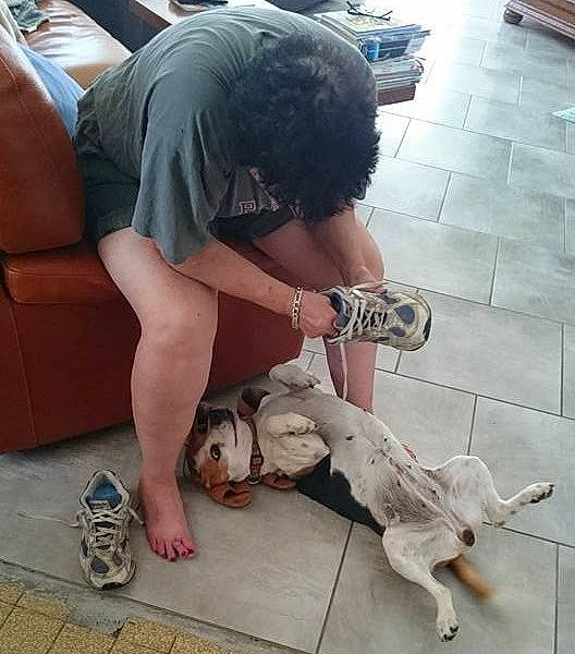 Békie a rejoint le concours — aidez-le/la à gagner de superbes lots ! canidae, carnivore, companion_dog, dog, dog_breed, leg, non_sporting_group, sitting, sporting_group