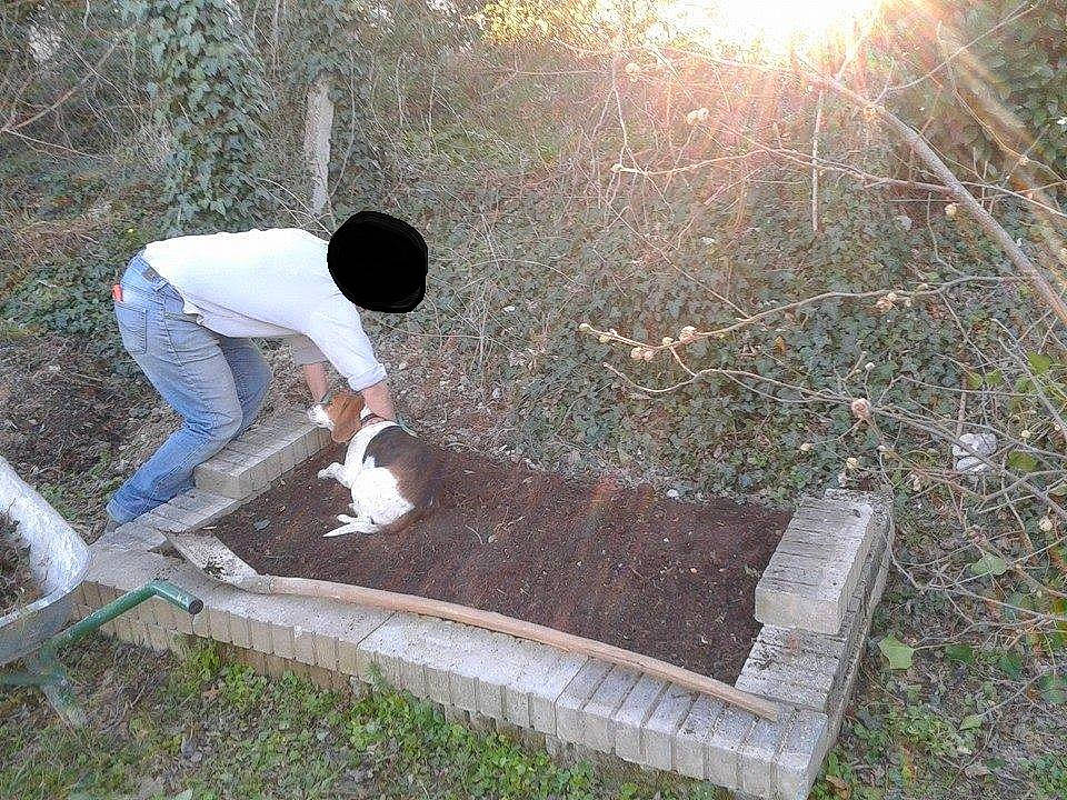 Békie a rejoint le concours — aidez-le/la à gagner de superbes lots ! soil, tree