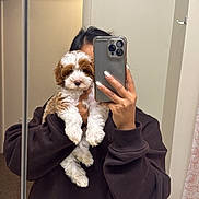 Momo joined the competition — help win amazing prizes! bathroom, brown, curtain, cute, dog, fur, hand, holding, indoor, mirror, mirror_selfie, nail_polish, person, pet, phone, puppy, reflection, selfie, sweatshirt, white