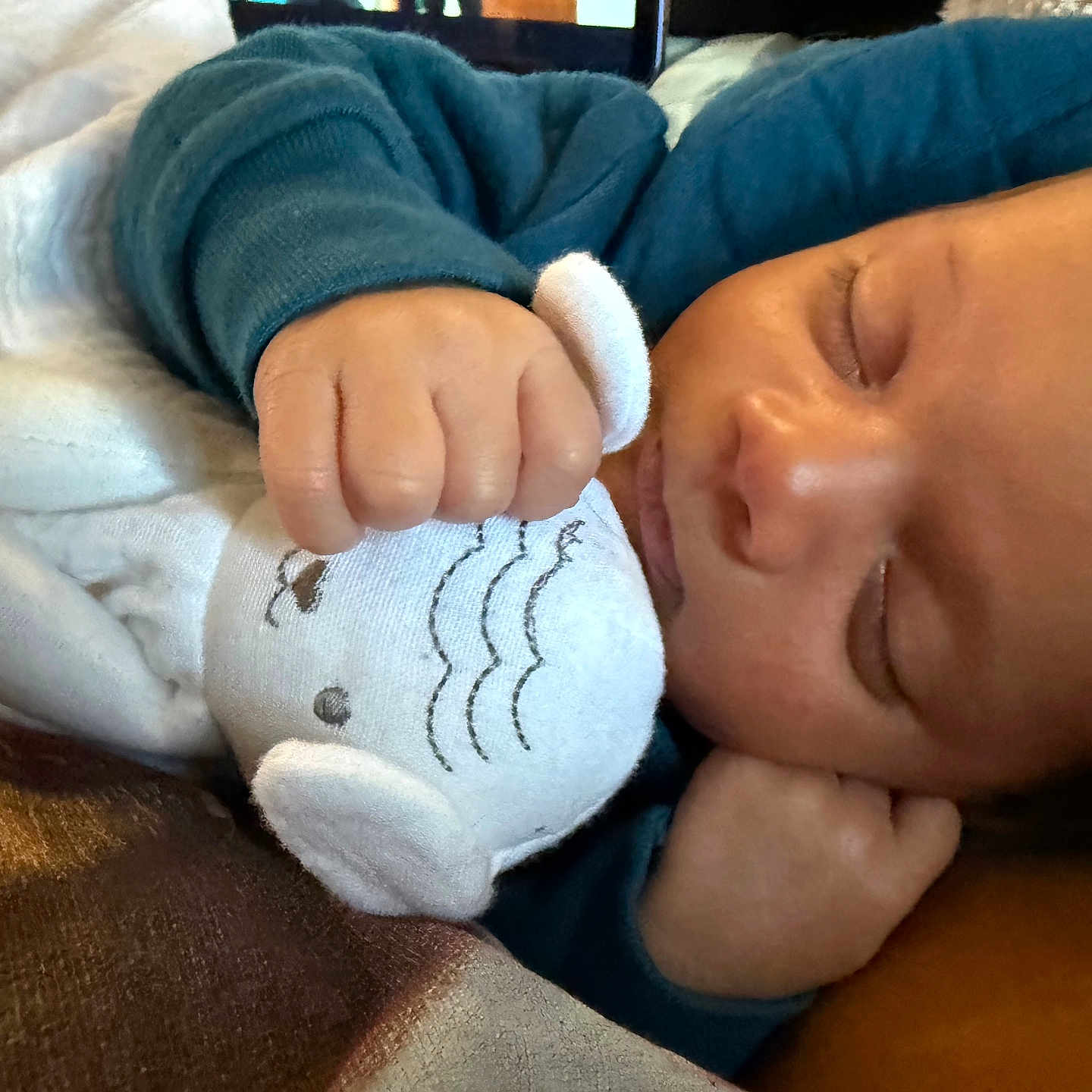 Sevenn joined the competition — help win amazing prizes! baby, blanket, child, closeup, comfort, cozy, cute, elephant, face, hand, indoors, infant, peaceful, plushie, portrait, rest, sleeping, soft, toddler, warm