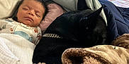 Sevenn is registered to the contest to win money with this photo: baby, sleeping, dog, black_dog, blanket, bed, cozy, pet, infant, fur, collar, nap, rest, comfort, indoor, cute, animal, person, child, relaxation