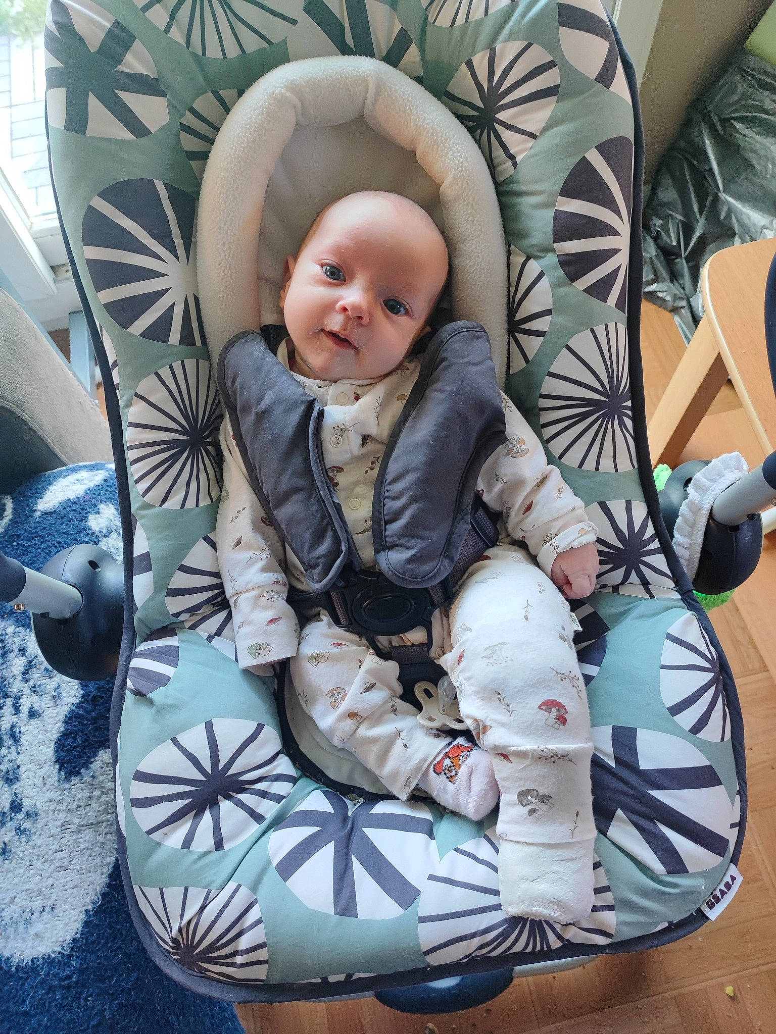 Romane participe au concours pour gagner de l'argent avec cette photo : baby, baby_carriage, baby_products, baby_safety, baby_toddler_clothing, baby_toys, chair, child, comfort, leisure, linens, pattern, person, picture_frame, purple, recreation, sitting, sleeve, smile, textile