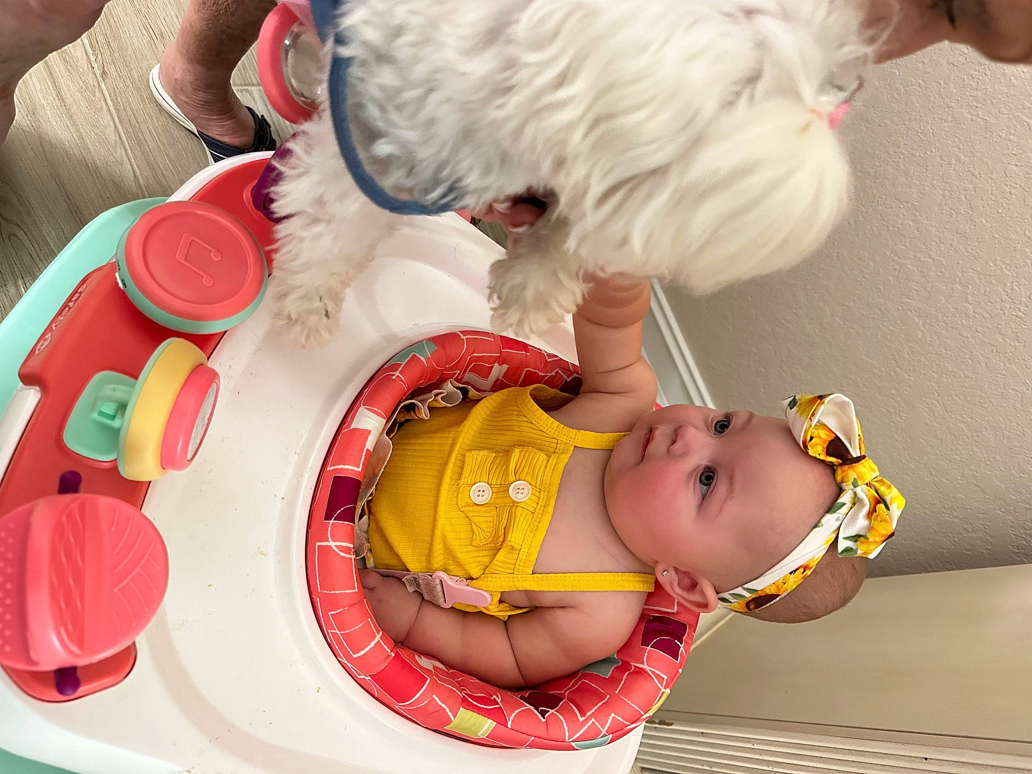 Lakelynn joined the competition — help win amazing prizes! baby, baby_products, baby_toddler_clothing, chair, child, cooking, event, fun, fur, happy, headwear, holiday, person, play, room, smile, tableware, toddler, toy