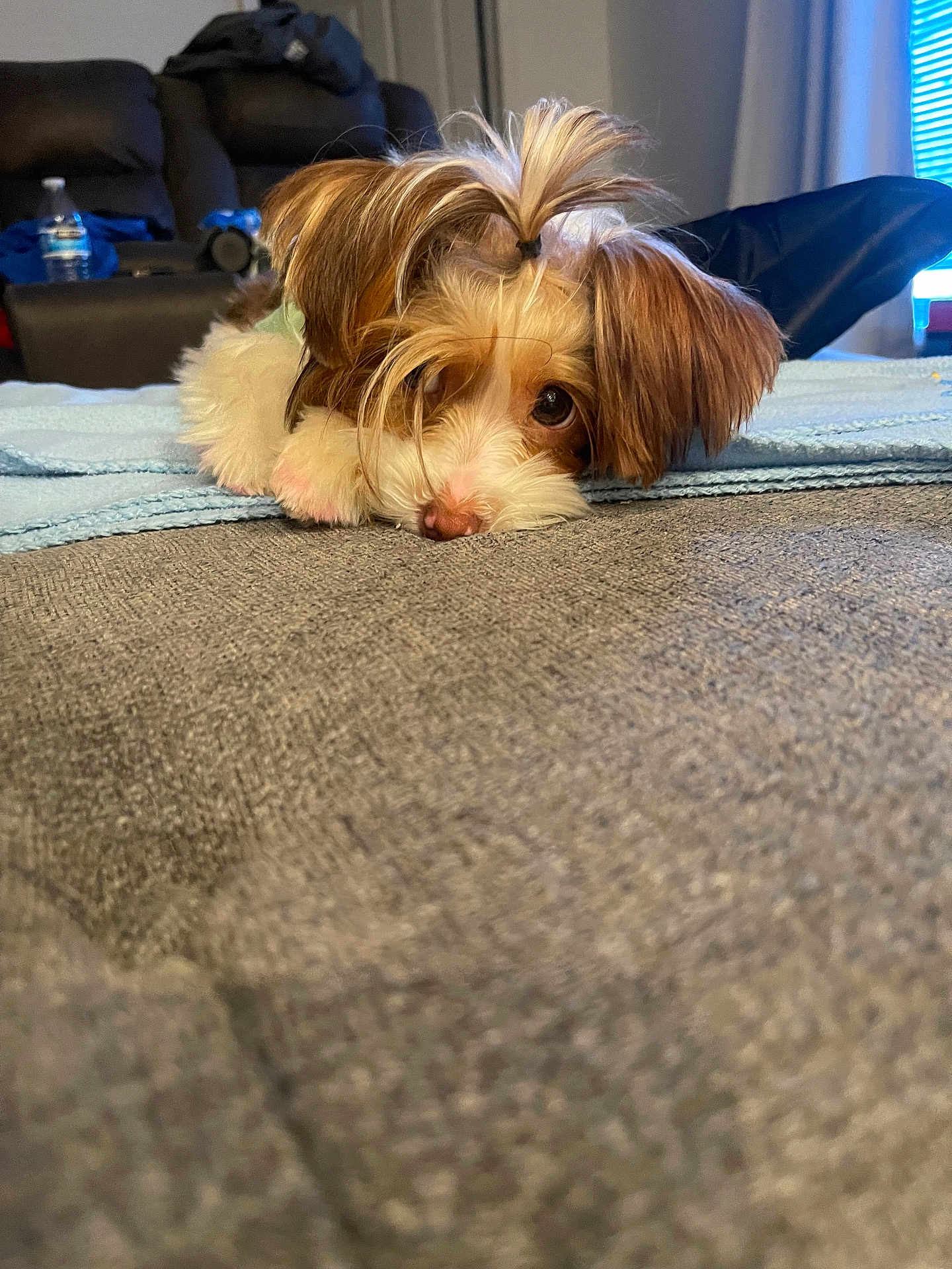 Riley