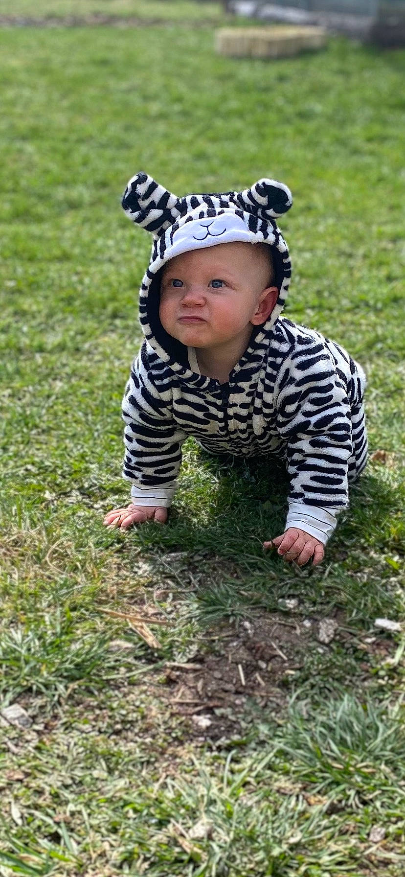Thëlyo a rejoint le concours — aidez-le/la à gagner de superbes lots ! baby, baby_toddler_clothing, cap, eye, fun, grass, grass_family, grassland, happy, headgear, headwear, landscape, lawn, outerwear, pattern, people_in_nature, person, plant, soil, toddler