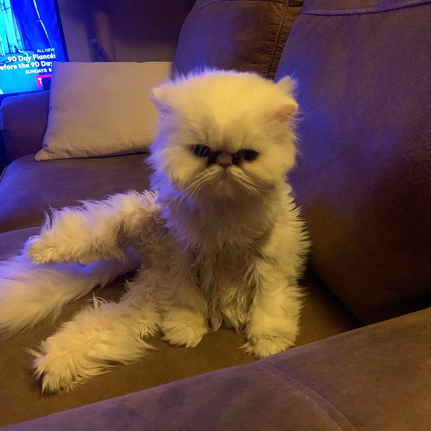 Chloe