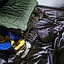 cat, bed, pillow, plush_toys, striped_cat, collar, feline, resting, indoor, pet, sleeping, comfort, cozy, furniture, animal, domestic_animal, striped, relaxing, soft_light, shadow