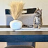 cat, kitten, tabby, vase, pampas_grass, table, chair, indoor, furniture, decor, curious, pet, domestic_animal, striped, sitting, looking_away, minimalist, neutral_colors, cozy, home