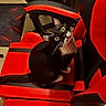 animal, black_chair, cat, chair_seat, curious, domestic_cat, eye_contact, fur, furniture, gaming_chair, indoor, looking_up, paw, pet, red_chair, sitting, tail, tuxedo_cat, whiskers, wood_floor