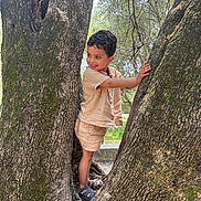 Thyam a rejoint le concours — aidez-le/la à gagner de superbes lots ! boy, casual_clothing, child, daylight, greenery, happy, leaves, nature, outdoor, park, person, playful, sandals, smiling, summer, toddler, tree, trunk, wood, young_child