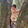 child, toddler, tree, outdoor, nature, smiling, sandals, greenery, summer, park, young_child, playful, trunk, casual_clothing, daylight, person, happy, leaves, wood, boy