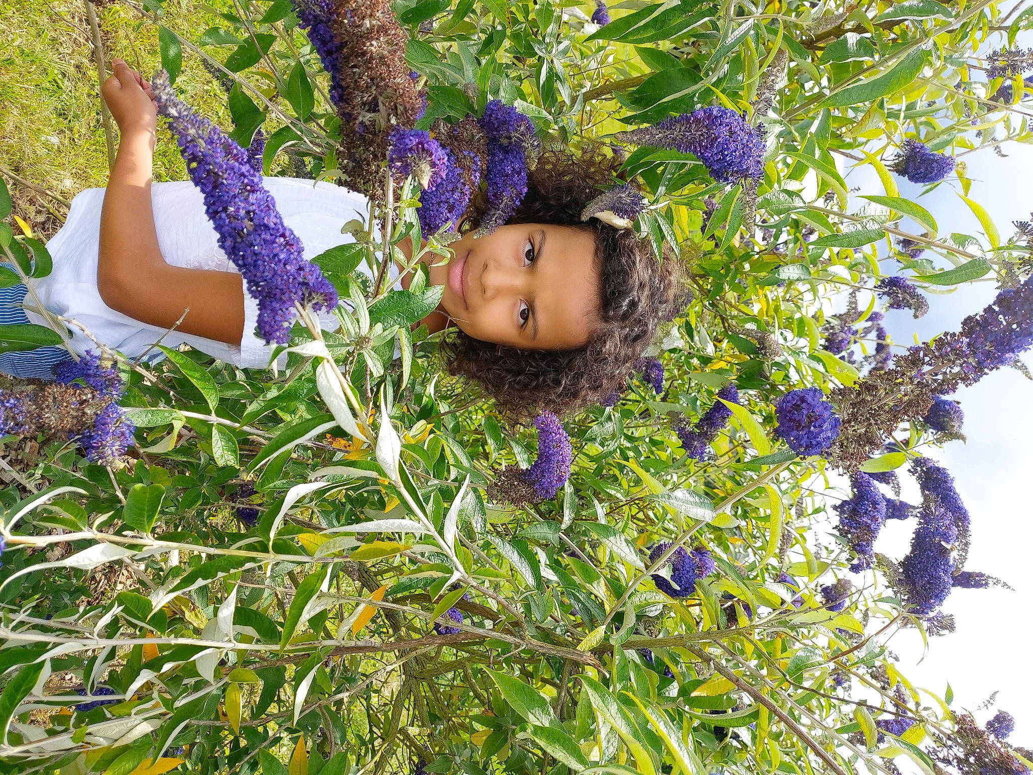Maïwenn participe au concours pour gagner de l'argent avec cette photo : blue, botany, doll, electric_blue, flower, flowering_plant, grass, green, groundcover, happy, joy, leaf, people_in_nature, person, plant, purple, shrub, terrestrial_plant, tree, vegetation