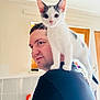 animal, black_shirt, cat, curious, cute, domestic, face, gray_spots, human, indoor, kitchen, kitten, man, natural_light, pet, portrait, shoulder, tile_wall, white_cat, window