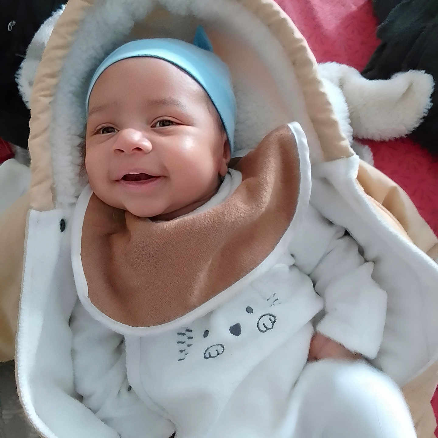 Jhonny participe au concours pour gagner de l'argent avec cette photo : baby, baby_bib, blanket, child, clothing, cozy, cute, face, fur_lining, happy, hat, indoors, infant, infant_wear, jacket, person, smile, snuggled, soft_toys, warm_clothes