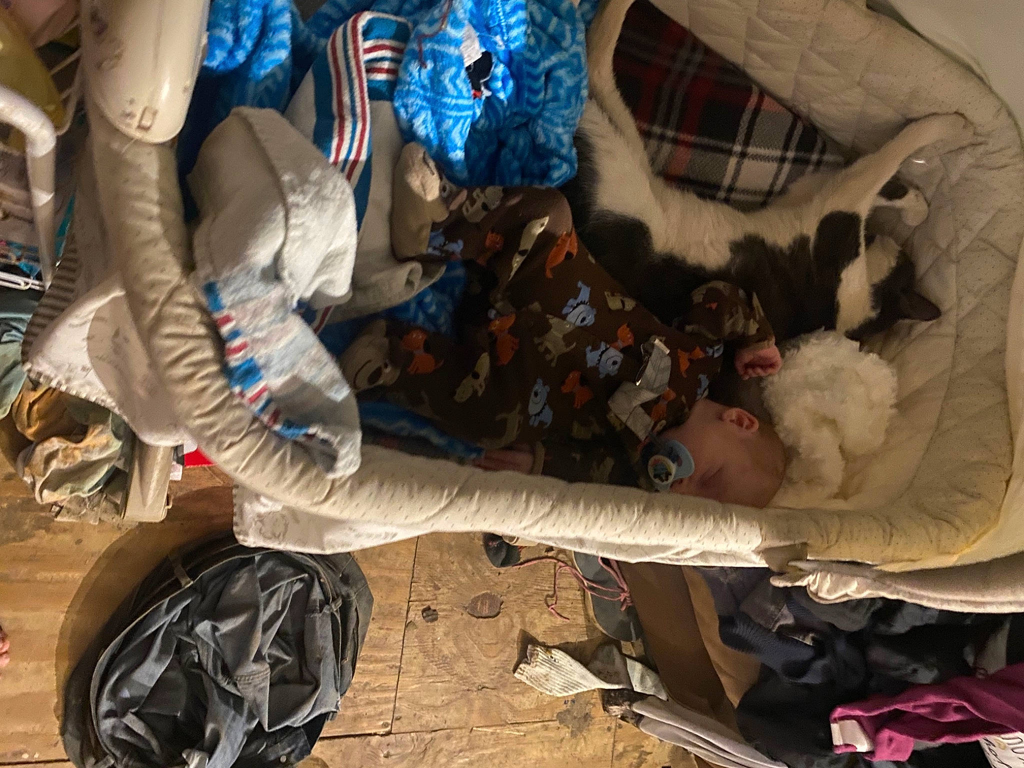 William is registered to the contest to win money with this photo: automotive_exterior, automotive_lighting, automotive_tire, bag, bumper, carmine, human_leg, linens, luggage_and_bags, mechanic, motor_vehicle, pattern, person, personal_protective_equipment, shoe, sneakers, tire, tree, trunk, under_exposed