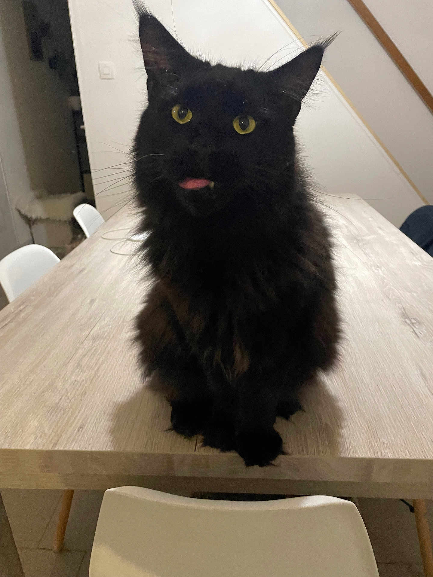 Salem
