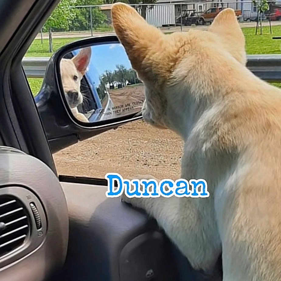 Duncan