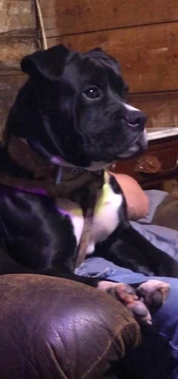 Zeus
