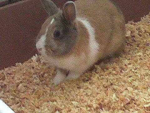 Filou participe au concours pour gagner de l'argent avec cette photo :