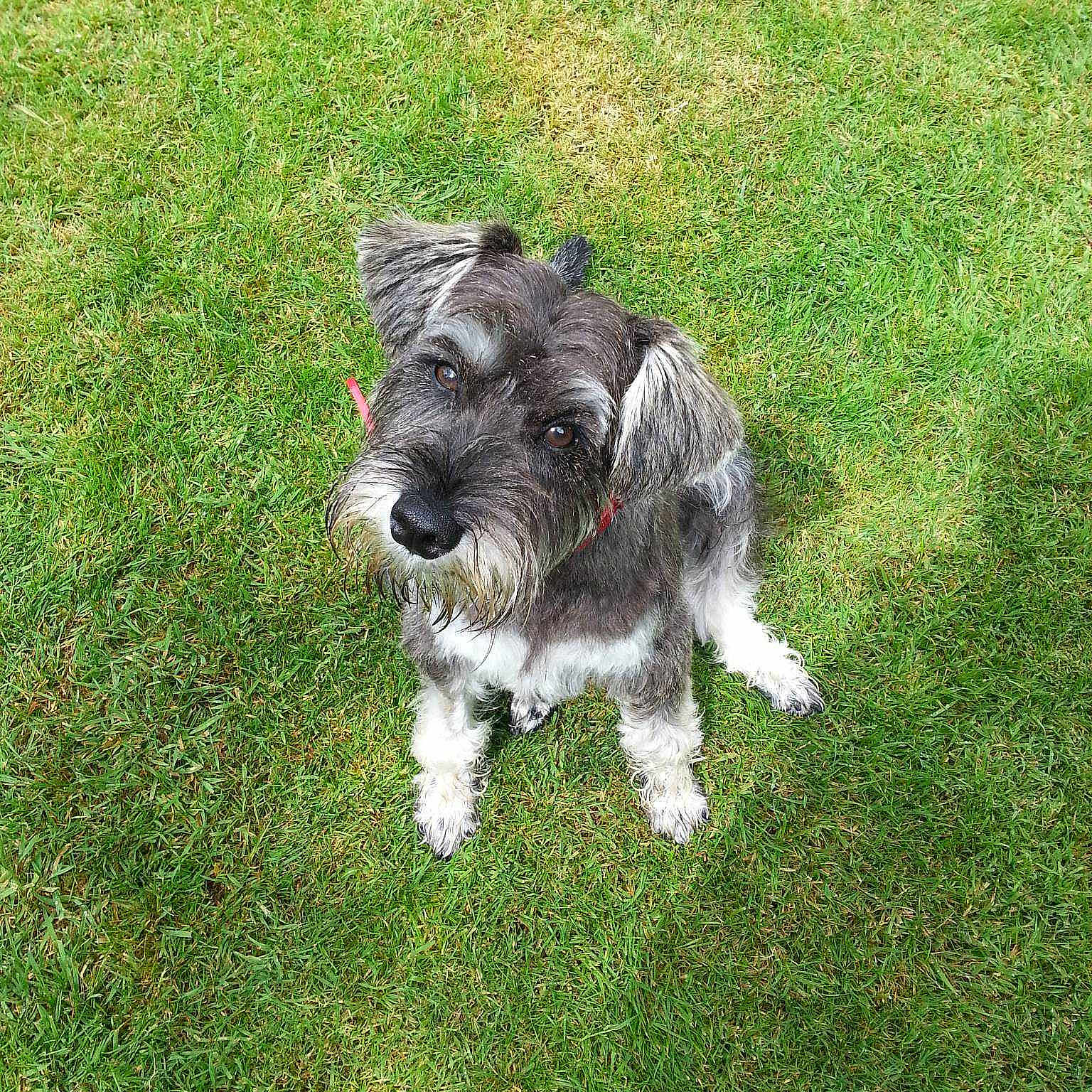 Freddie is registered to the contest to win money with this photo: