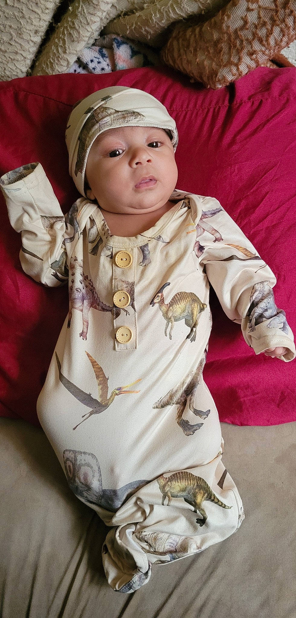 Darian is registered to the contest to win money with this photo: art, baby, cap, child, costume, eye, fashion_accessory, fur, gesture, glove, head, headwear, human_body, person, personal_protective_equipment, pink, reptile, sleeve, terrestrial_animal, toddler