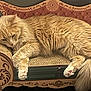 animal, cardboard_couch, cat, cozy, cute, decorative, domestic, feline, fluffy, fur, indoor, lounging, orange_cat, paw, pet, relaxed, resting, sleepy, small_furniture, tail