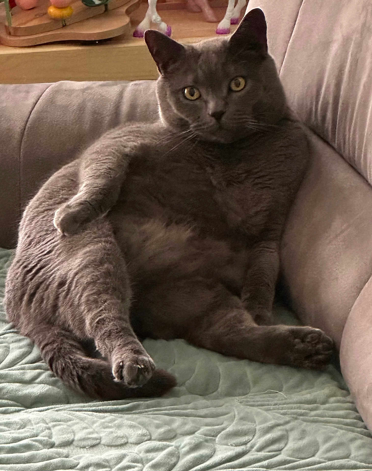 Garfield