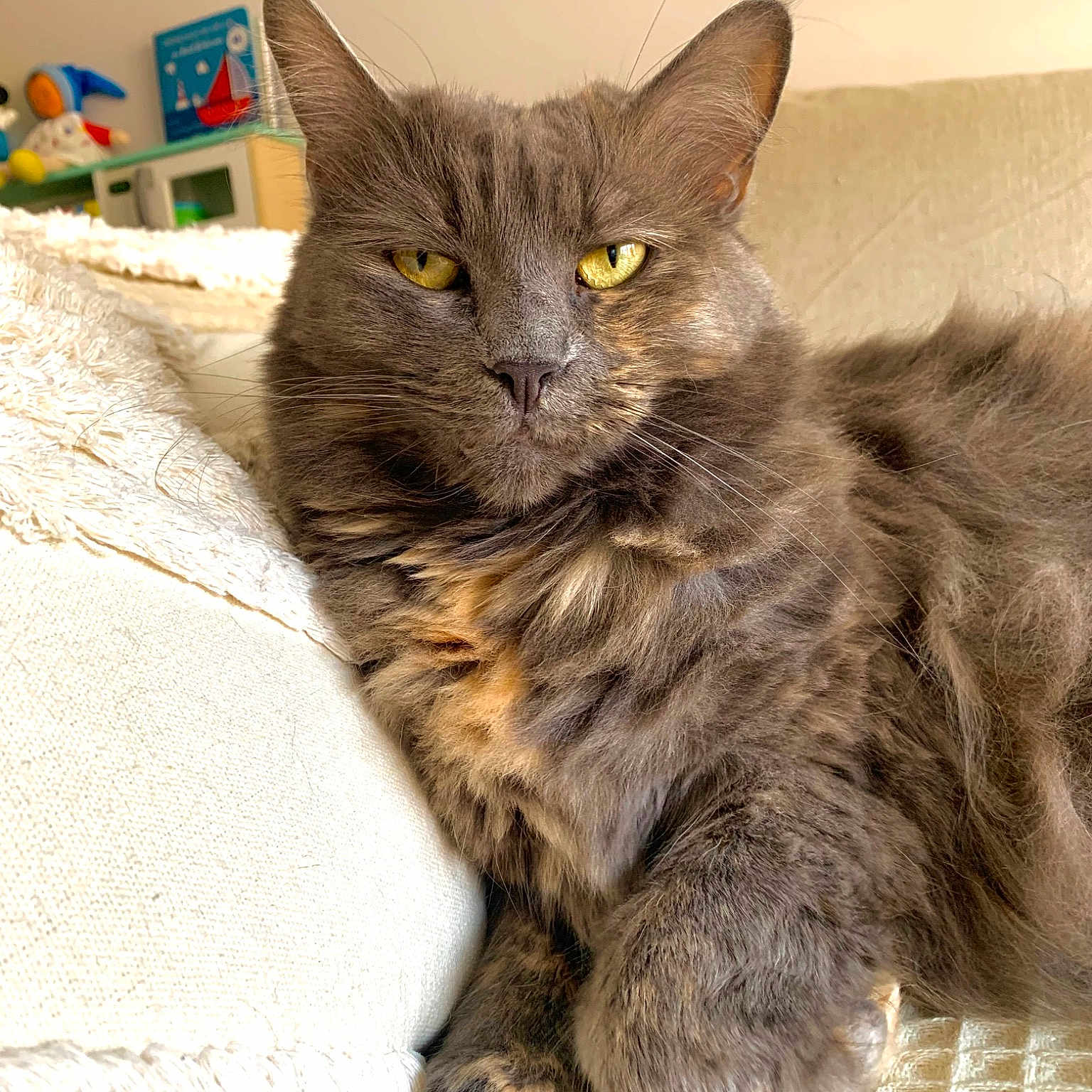 Dina