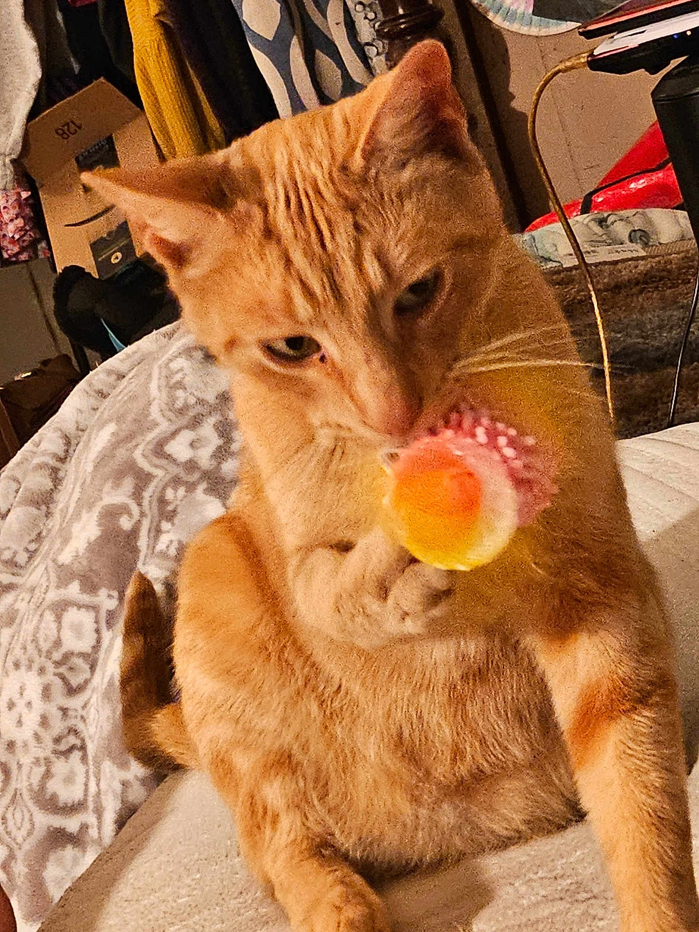 Deuce