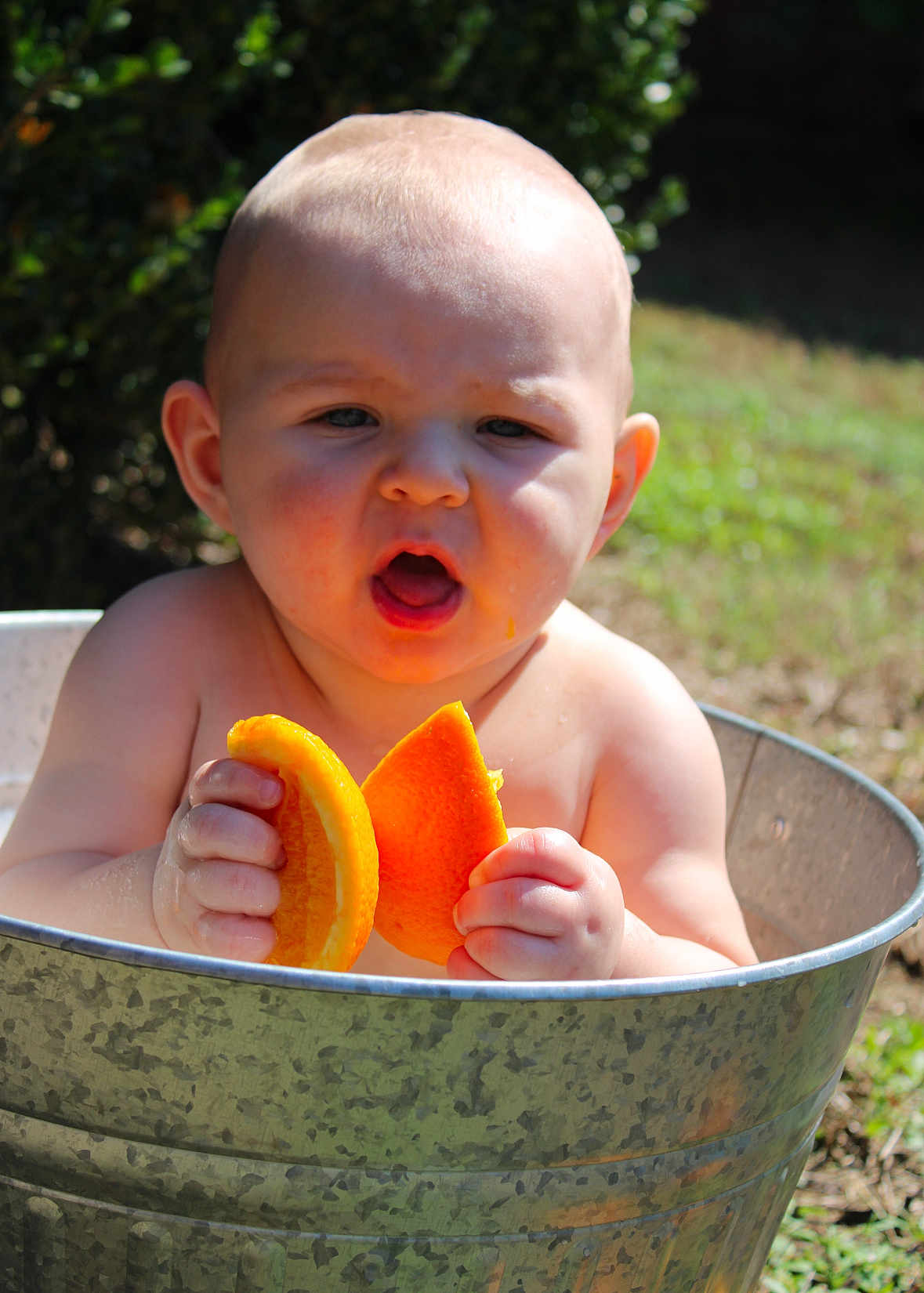 Silas joined the competition — help win amazing prizes! baby, child, orange, fruit, metal_tub, outdoor, sunlight, nature, grass, skin, hands, face, expression, curious, summer, daylight, closeup, infant, holding, bare_shoulders