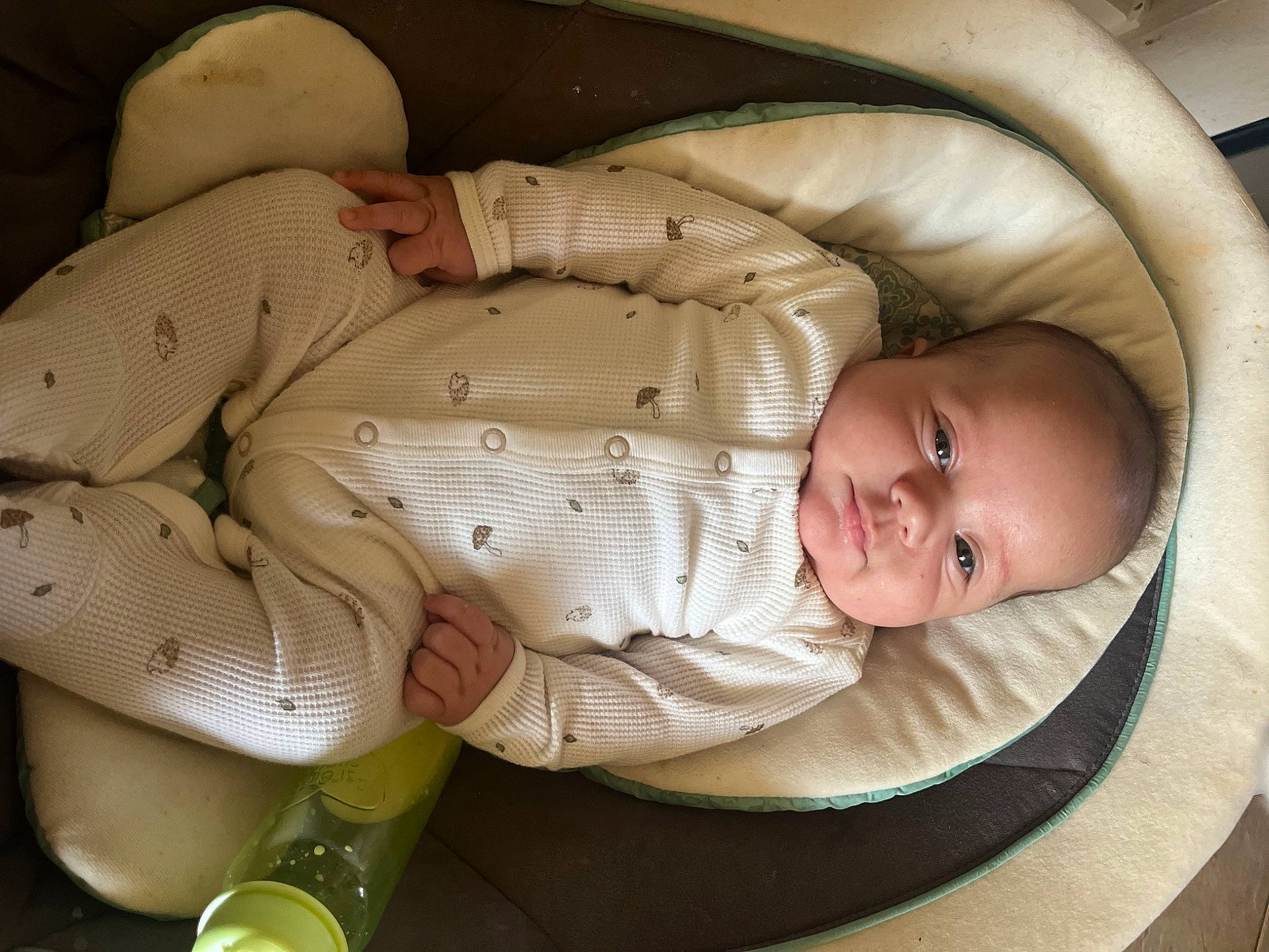 Sincere is registered to the contest to win money with this photo: baby, baby_carriage, baby_products, baby_safety, baby_sleeping, baby_toddler_clothing, bedtime, cheek, child, comfort, infant_bed, linens, nap, person, room, sitting, skin, sleep, toddler