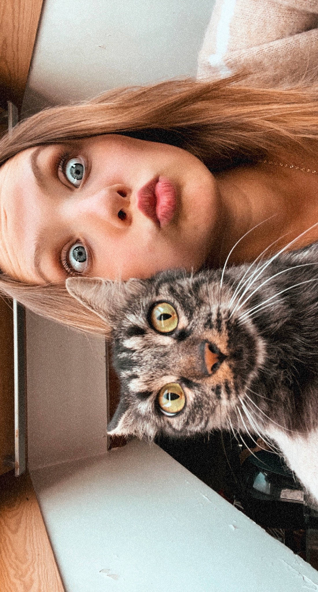 Muffette participe au concours pour gagner de l'argent avec cette photo : beard, beauty, carnivore, cat, close_up, eye, eyelash, eyewear, facial_expression, felidae, glasses, happy, iris, long_hair, nose, organ, selfie, skin, small_to_medium_sized_cats, whiskers