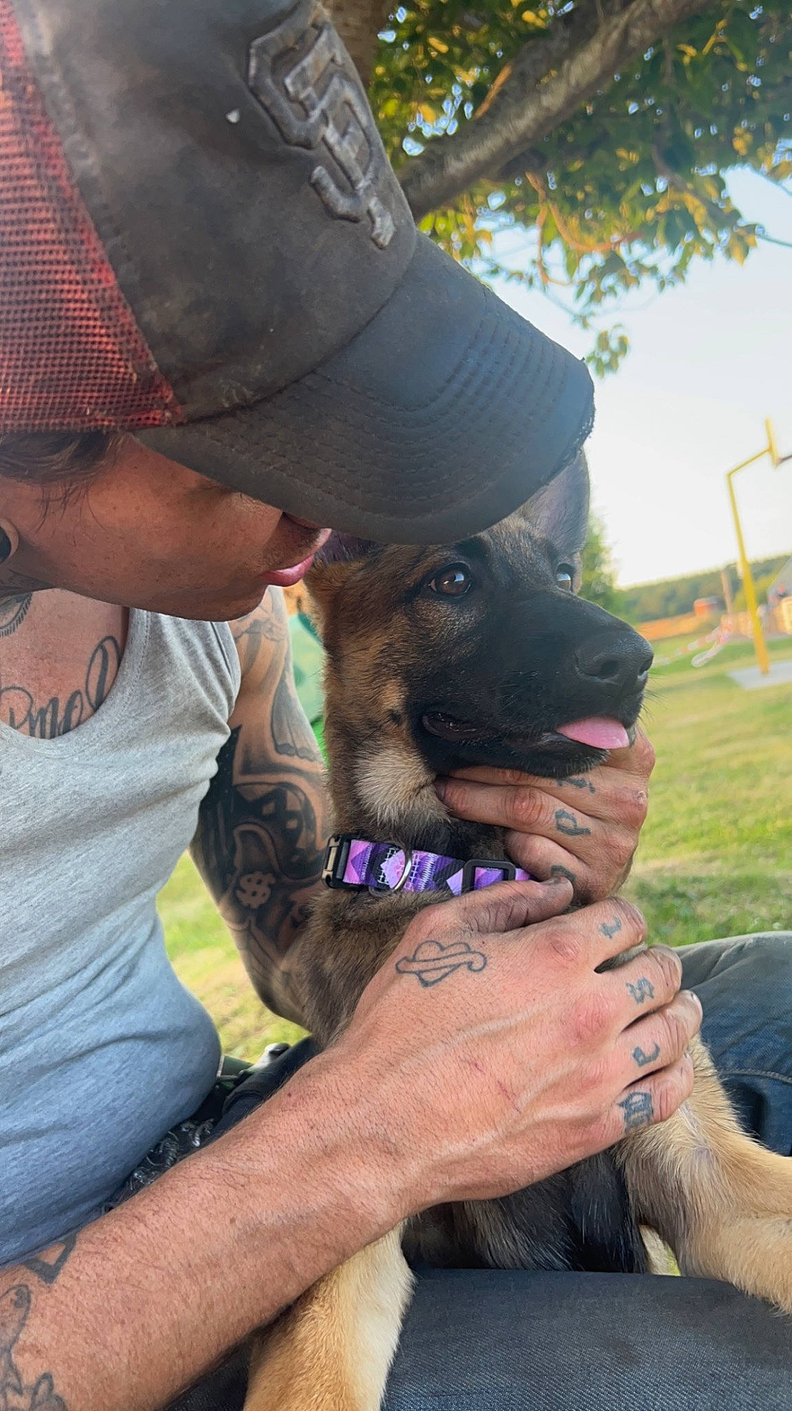 Xéna a rejoint le concours — aidez-le/la à gagner de superbes lots ! baseball_cap, canidae, cap, carnivore, collar, companion_dog, dog, dog_breed, dog_collar, fashion_accessory, fawn, gesture, grass, guard_dog, hat, plant, sky, t_shirt, working_animal, working_dog