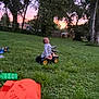 Bailey joined the competition — help win amazing prizes! toddler, toy_truck, grass, backyard, sunset, trees, child, outdoor, play, smile, toy, greenery, nature, evening, happy, person, grass_field, small_toy, playtime, casual