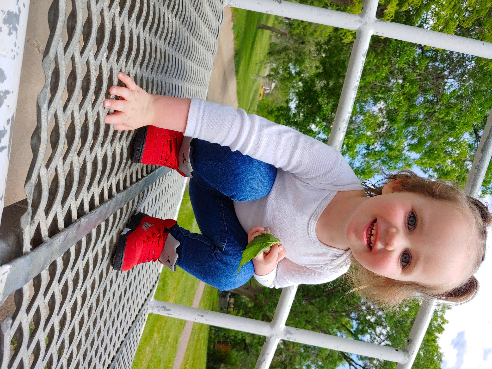 Dalylah joined the competition — help win amazing prizes! arm, baby, baby_toddler_clothing, clothing, fence, fun, grass, hand, happy, human_body, joy, leisure, mesh, people_in_nature, person, photograph, plant, product, recreation, snapshot