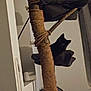 black_cat, cat_tree, rope_wrapped, indoor, pet, feline, perch, curious, shadow, cozy, home, animal, small_cat, resting, furniture, window, curtain, soft_light, quiet, domestic