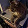 Tabitha