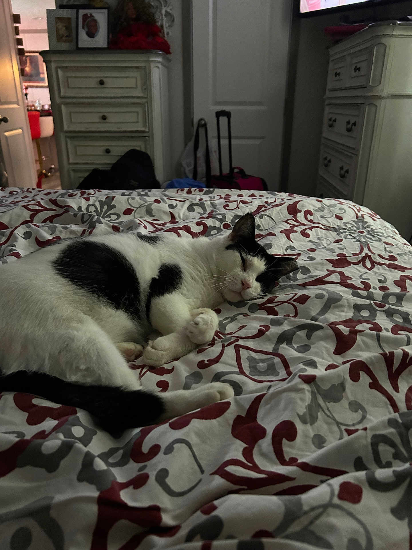 Tobby