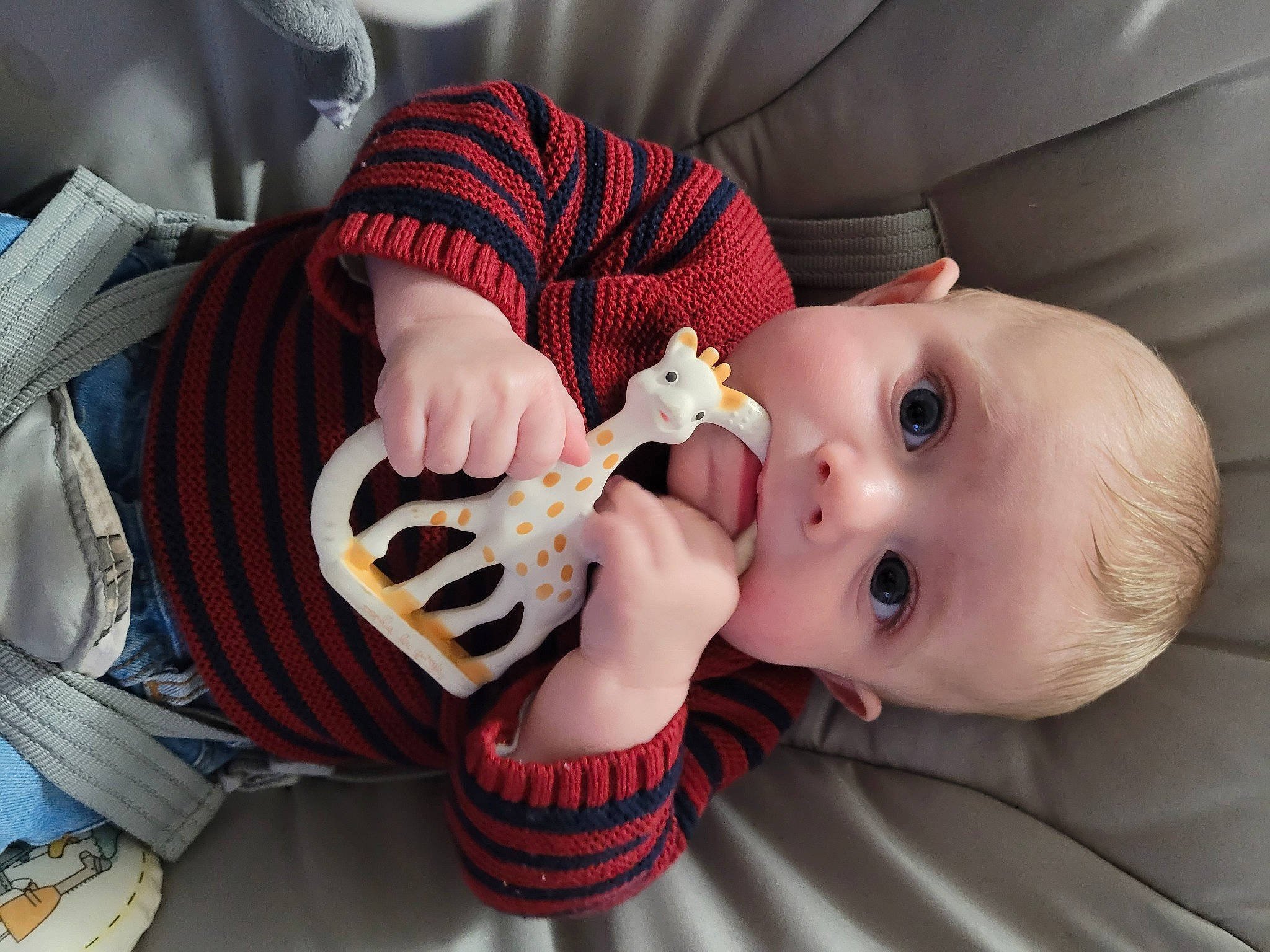 Sacha a rejoint le concours — aidez-le/la à gagner de superbes lots ! arm, baby, baby_products, baby_toddler_clothing, cheek, comfort, ear, eyebrow, eyelash, hand, happy, iris, lip, mouth, nail, neck, nose, person, skin, smile