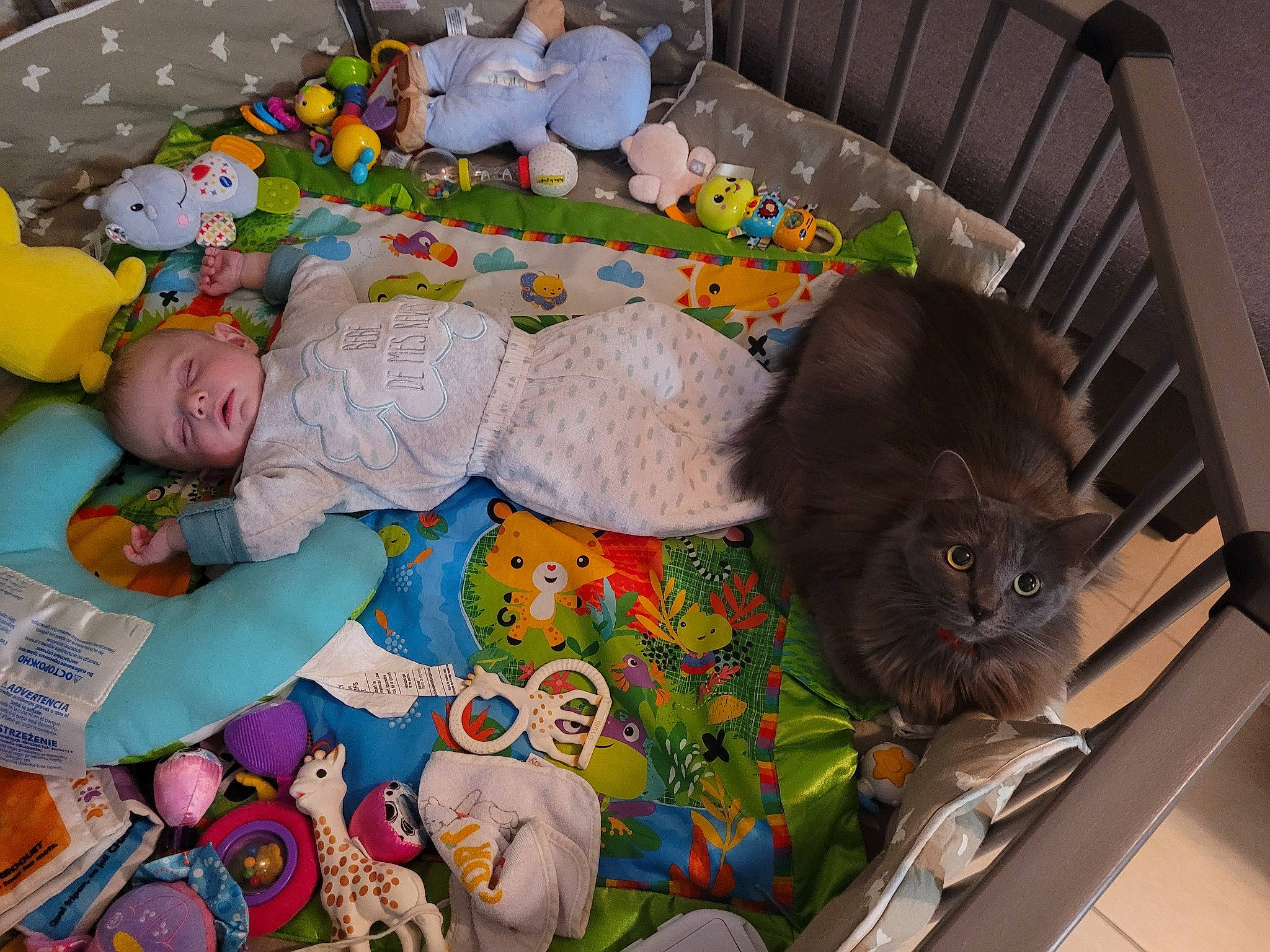 Sacha participe au concours pour gagner de l'argent avec cette photo : baby, baby_products, baby_toys, bed, carnivore, cat, child, comfort, domestic_short_haired_cat, felidae, infant_bed, linens, person, pet_supply, product, small_to_medium_sized_cats, stuffed_toy, tail, toddler, toy