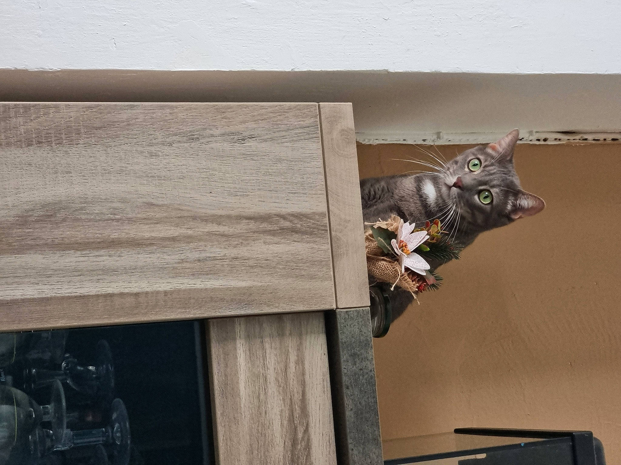 Stitch participe au concours pour gagner de l'argent avec cette photo : art, carnivore, cat, curtain, domestic_short_haired_cat, event, felidae, font, grey, hardwood, metal, rectangle, room, sculpture, small_to_medium_sized_cats, tail, tourist_attraction, visual_arts, whiskers, wood