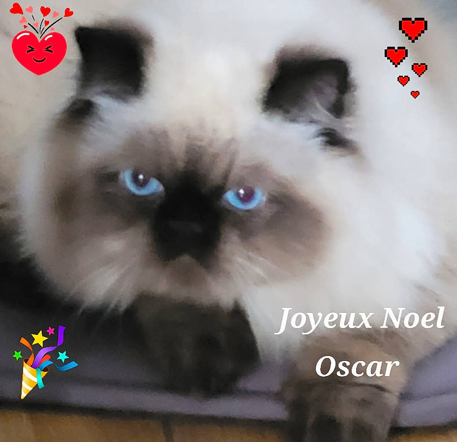 Oscar