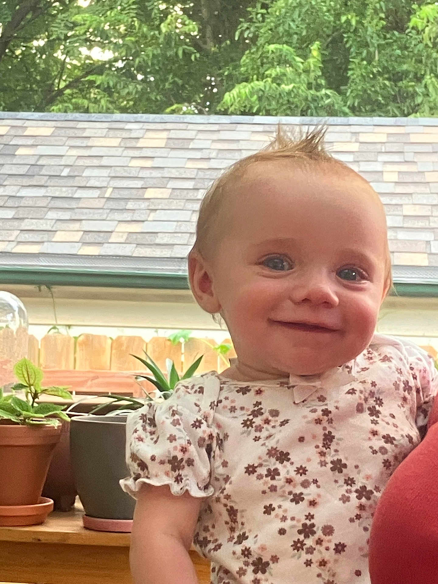Klay-Cee joined the competition — help win amazing prizes! baby, child, smile, face, person, plant, potted_plant, flower_pattern, shirt, indoor, window, wooden_surface, greenery, hair, mohawk, cute, young_child, portrait, holding, happy