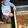 toddler, child, tortoise, enclosure, wooden_box, mulch, carpet, indoor, curious, animal, pet, exploration, hands, light, shadow, shell, face, kneeling, young_child, interaction