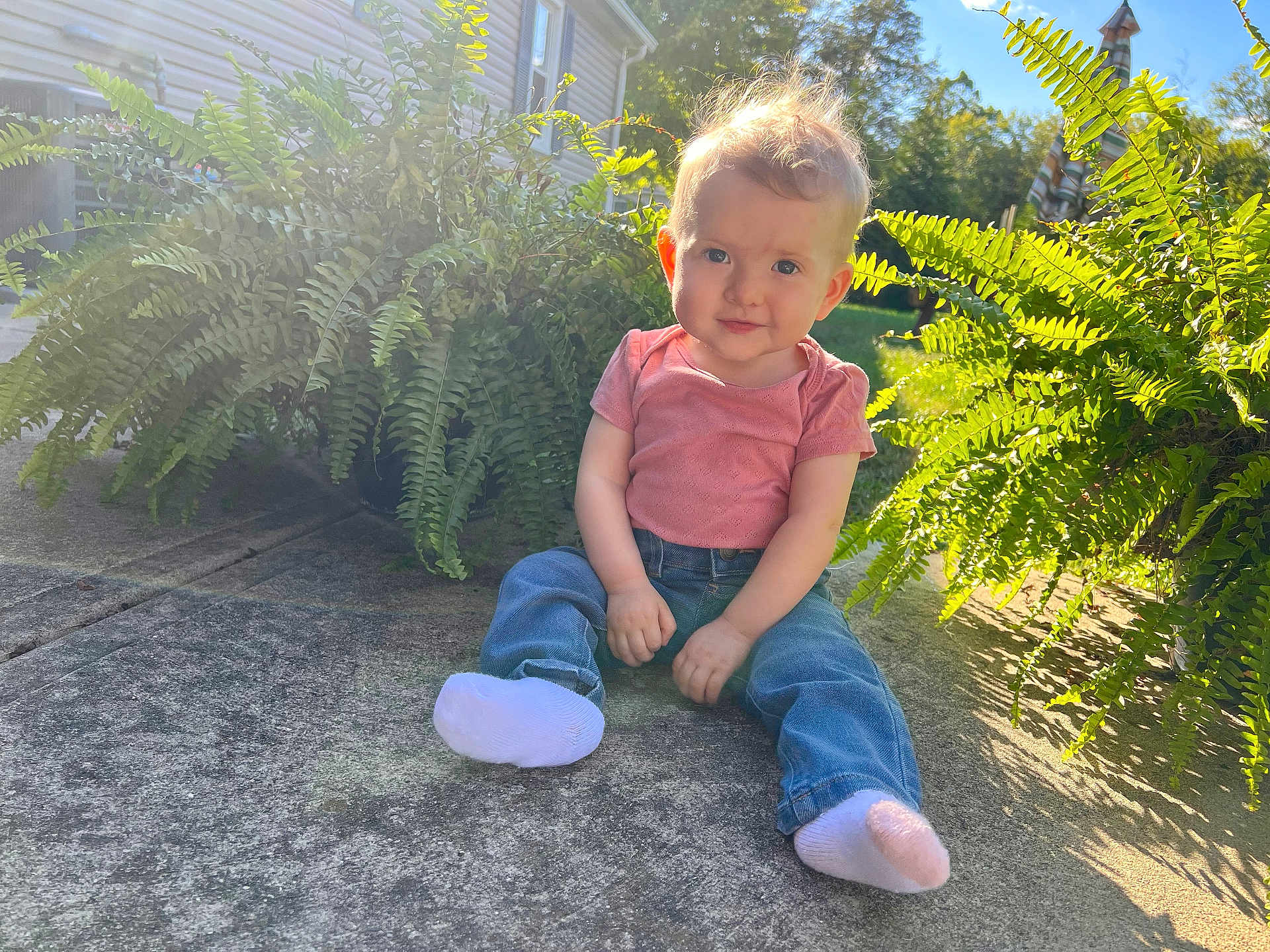 Riverlyn is registered to the contest to win money with this photo: toddler, child, outdoor, sunlight, greenery, fern, jeans, pink_shirt, socks, concrete, curious, grass, nature, portrait, baby, young_child, sunny_day, casual_clothing, smile, sitting