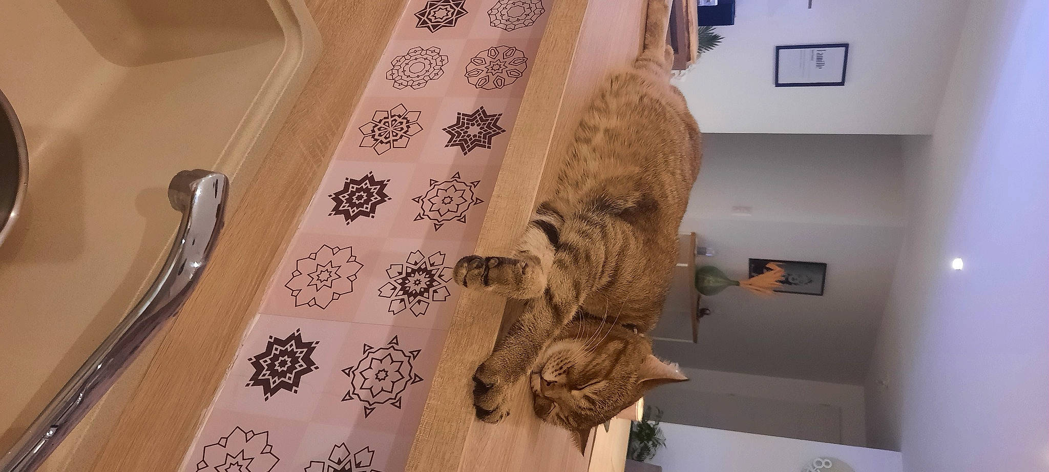 Perle a rejoint le concours — aidez-le/la à gagner de superbes lots ! art, artifact, building, carnivore, curtain, felidae, floor, flooring, fur, hardwood, interior_design, kitchen_utensil, natural_material, picture_frame, sculpture, sporting_group, statue, tree, visual_arts, wood