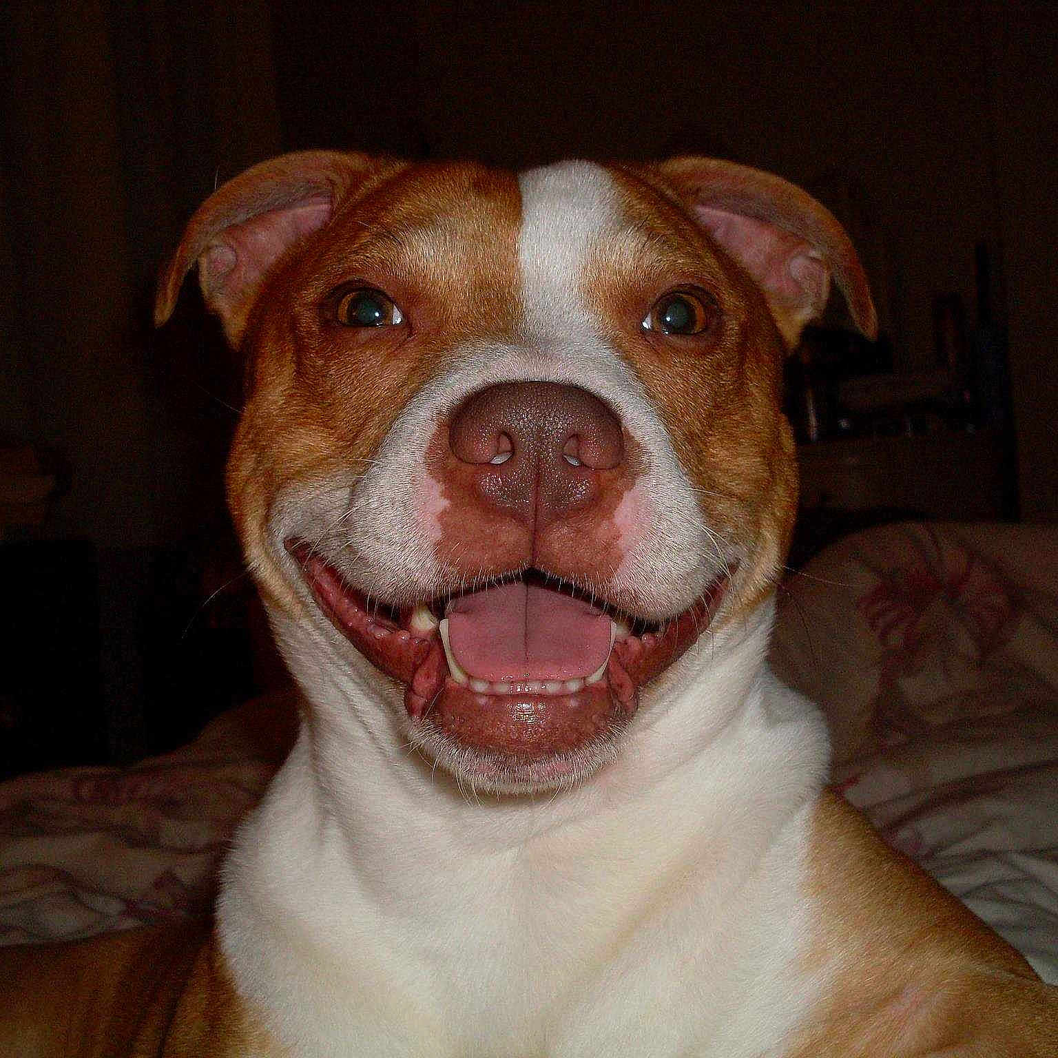 Tyson is registered to the contest to win money with this photo: