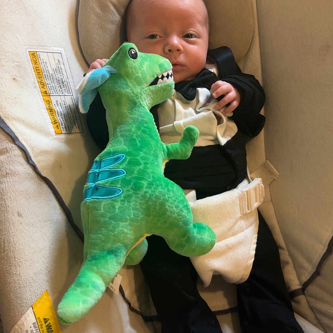 Braxton joined the competition — help win amazing prizes! baby, infant, tuxedo, plush_toy, dinosaur, baby_seat, car_seat, child, cute, clothing, indoor, toy, person, newborn, soft_toy, seat_belt, fabric, comfort, small, adorable