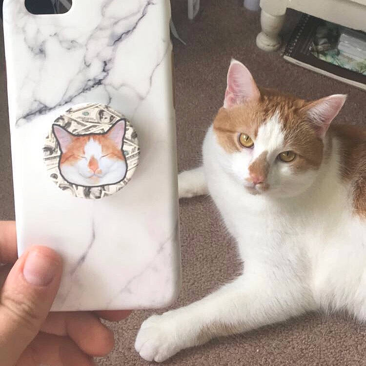 Lucky Lou is registered to the contest to win money with this photo: aegean_cat, american_wirehair, asian, burmilla, carnivore, cat, domestic_short_haired_cat, european_shorthair, felidae, fur, gesture, hand, kitten, paw, photo_caption, polydactyl_cat, small_to_medium_sized_cats, tail, turkish_van, whiskers