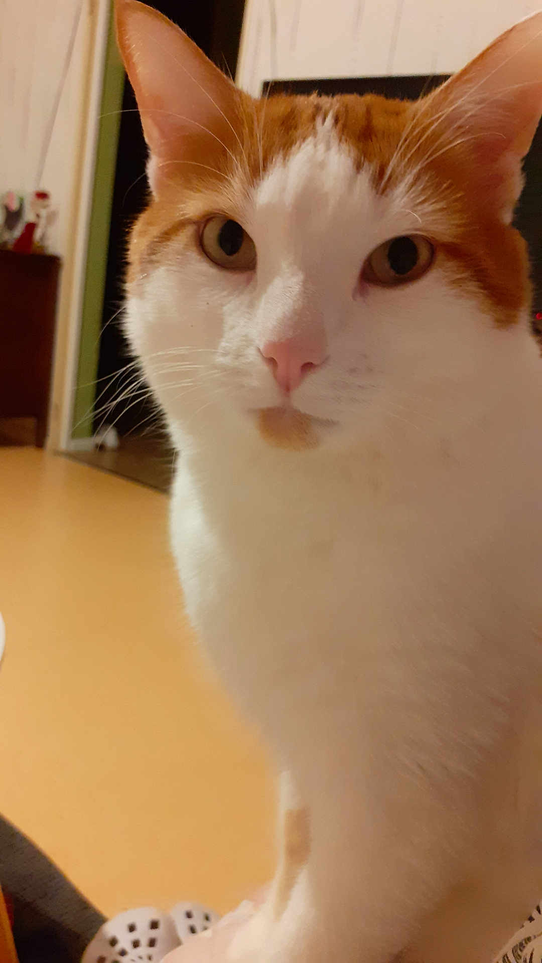 Nougat